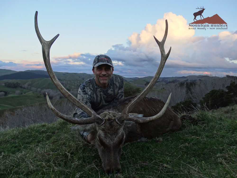 Sika Deer hunting in New Zealand 